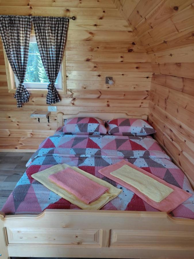 Tim Curic Vikendica *